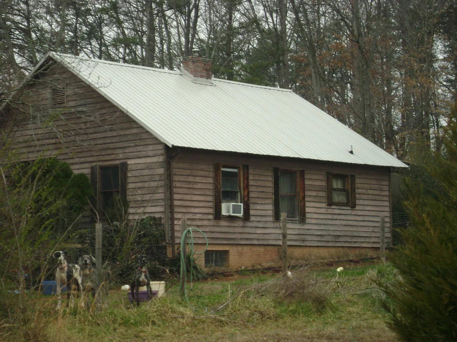 White metal roof on an old wood sided farmhouse, from a Metal Roof Installation job in Eaton Park